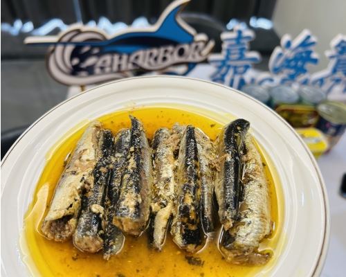 Canned Sardine Fish