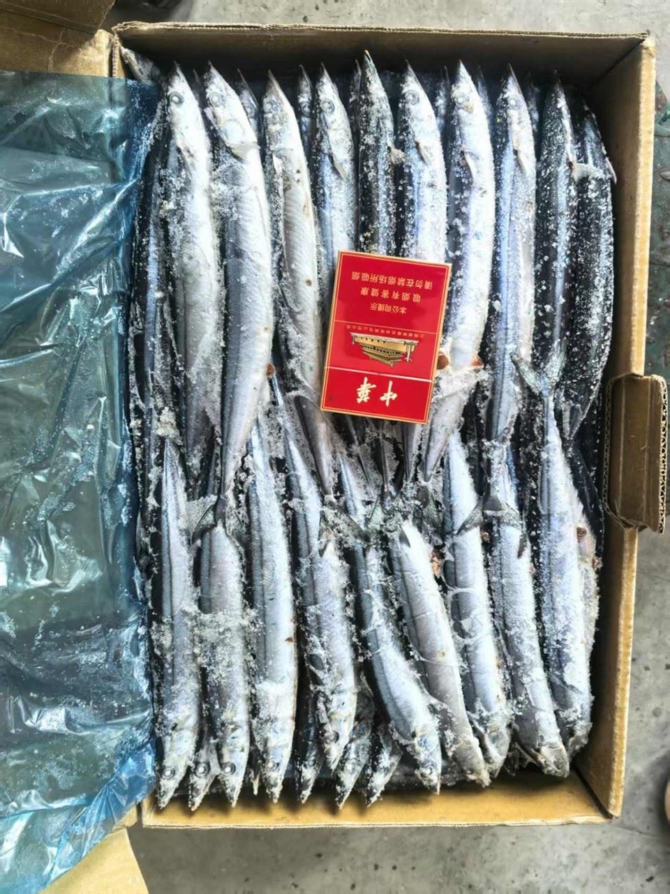 Frozen Saury WR