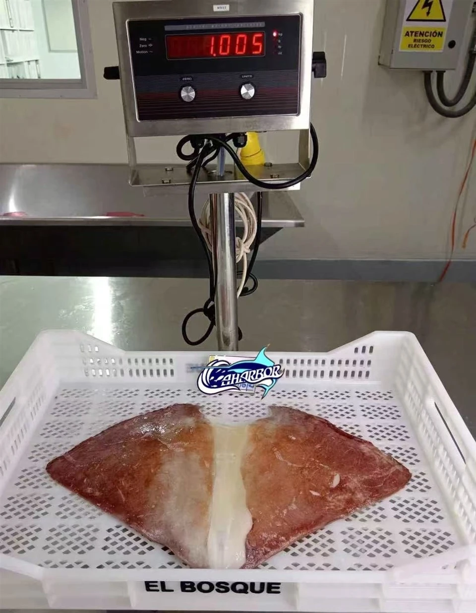 b00bfbbebc797925560962dc6572bb8_